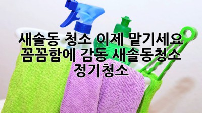 새솔동 청소, 이제 맡기세요! ✨ 꼼꼼함에 감동! #새솔동청소 #정기청소